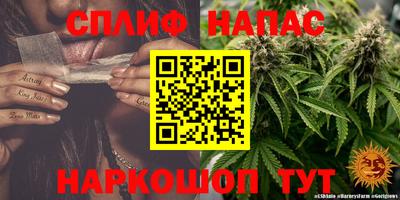 стаф Заволжье