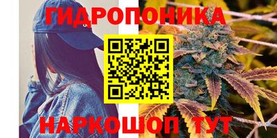 стаф Заволжье