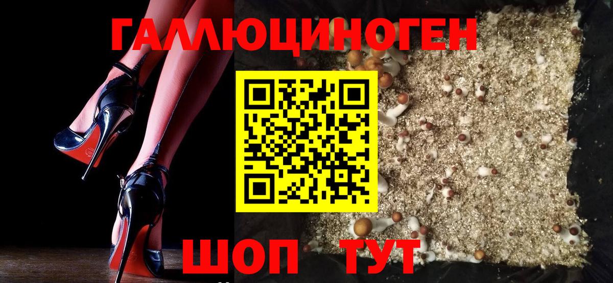 Псилоцибиновые грибы мухоморы  Вход с VPN  Можга  Галлюциногенные грибы Psilocybe 